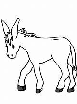 Donkey Donkeys Burros Coloringhome Buros sketch template