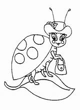 Ladybug Ladybugs Coccinelle Animaux Coloriage Coloriages Coloringhome sketch template