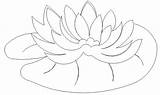 Lily Pad Coloring Water Pages Calla Pads Lilies Print Printable Drawings Color Getcolorings Size sketch template