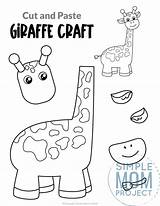 Paste Giraffes Preschoolers Simplemomproject Kindergarteners sketch template