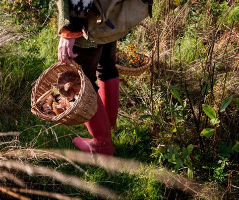 guide  foraging  cornwall  valley