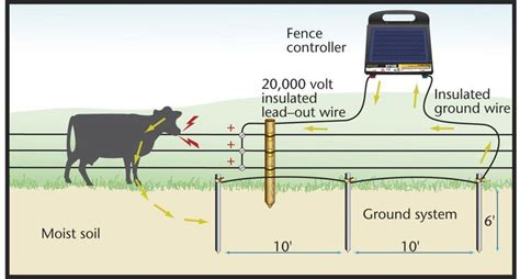 wire  electric fence diagram rjw electric fence  cattle fence charger