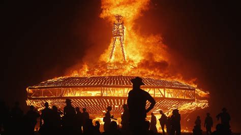 burning man festival swarms of bugs infest site of annual event nbc news