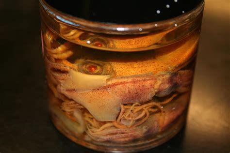 Jar O Squid By Katebait On Deviantart