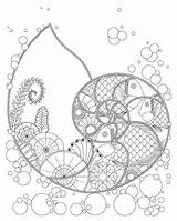 Nautilus Coloring Designlooter Relief Relaxing Stress Shell Adults Ocean Plants Fish Fantasy Printable Digital sketch template
