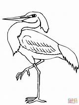 Heron Coloring Pages Wading Printable Blue Color Compatible Tablets Ipad Android Version Click Online Getcolorings Hurry sketch template