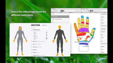 massage maps  mac   review latest version