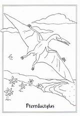 Dinosaurier Kleurplaat Dinosaurus Ausmalbild Kleurplaten Dinosauri Colorare Disegni Flugsaurier Dieren Dinosaure Pterodactylus Ausmalen Tyrannosaurus Genial Malvorlage Animaatjes Ausdrucken Dinosaurussen Malvorlagen sketch template