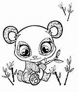 Coloring Cute Pages Animal Printable Library Clipart Baby Panda sketch template