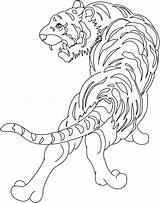 Tigre Halaman Harimau Haiwan Mewarna Kertas Pintar Cetak Boleh sketch template