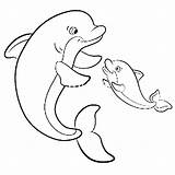 Dolfijn Delfin Kolorowanki Pages Kolorowanka Wild Dolphins Dauphin Coloriage Dieren Animaux Colorare Drukowania Swims Marini Maluchy Matka Nia Zwierzat Dzikich sketch template