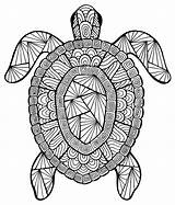 Zen Turtle Tortue Coloriages Beau Difficile Incroyable Tortues Inspirant Adulte 101coloring Aboriginal Benjaminpech sketch template