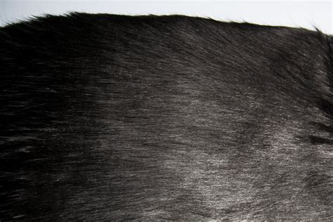 black fox fur imitation faux fur fabric   metre fakefurshopcom