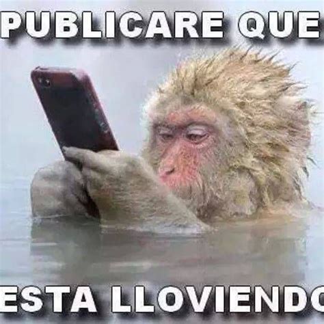 memes muy chistosos con monos 1 el universo funny memes spanish humor y funny phrases