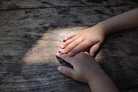 hands   children  gently touching stock photo image