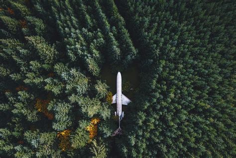 nature landscape airplane wreck forest trees drone aerial view wallpapers hd desktop
