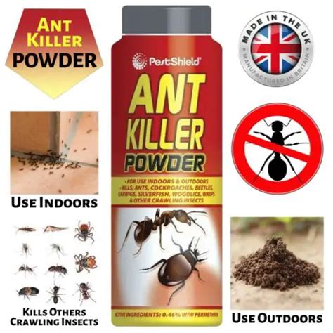 buy pestshield ant killer powder