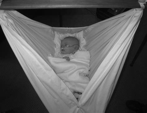 baby hammock study shows safe oxygen levels natures sway