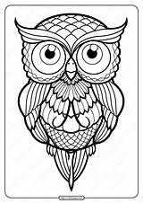 Coloring Coloringoo Owls sketch template