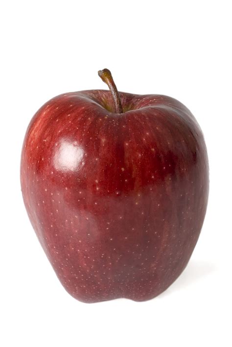 red delicious photo  glossy red delicious apple  white flickr