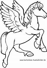 Pegasus Pferde Ausmalen Pferd Einhorn Ausmalbild Malvorlage Schablone Lesezeichen Madchen 1ausmalbilder Schmetterling Blumen Pasta Keeler sketch template