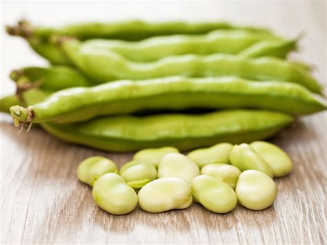 grow broad beans realestatecomau