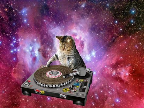 pin  roxykitten  galaxy space cat galaxy cat cat wallpaper