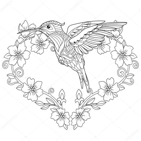 hummingbird coloring pages  adults