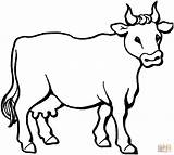 Kuh Cow Supercoloring Vacas Malbilder sketch template