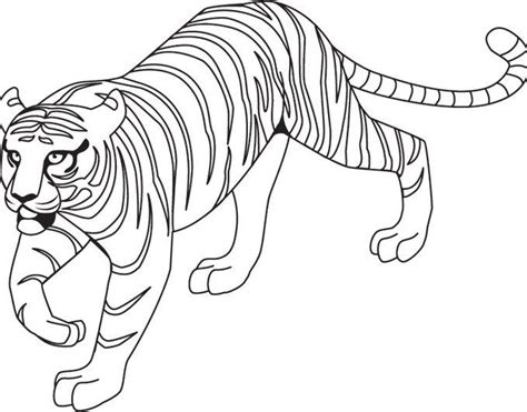 tiger outline tiger shape templates crafts colouring pages