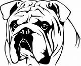 Bulldog Google Bulldogs sketch template