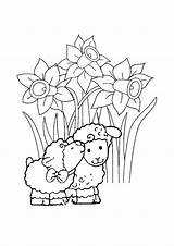 Pages Coloring Easter Choose Board Colouring sketch template