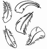 Feather Outline Clipart Feathers Cliparts Drawing Clip Illustration Cartoon Set Stock Library Plume Vector Royalty Clipartmag Collection Getdrawings Designs Webstockreview sketch template