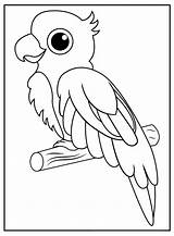 Papagaio Parrots Desenho Iheartcraftythings Poplembrancinhas sketch template