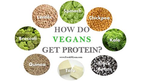 vegetarian diet plan protein diet plan