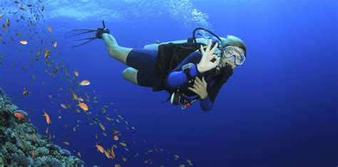 dive  happiness scuba diving  mauritius mauritius attractions