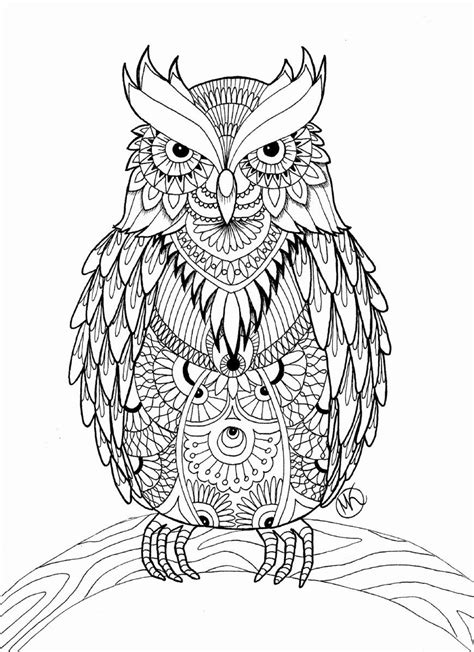 photo  owl coloring pages  adults davemelillocom
