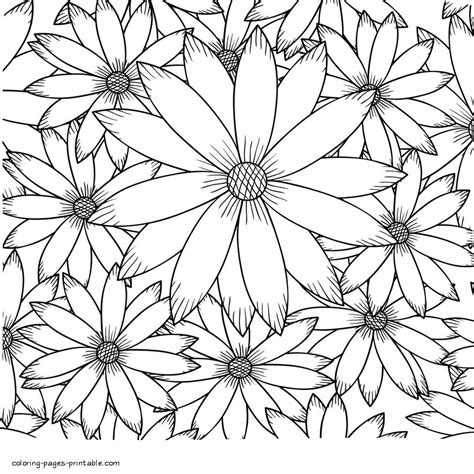 detailed flower coloring pages coloring pages printablecom
