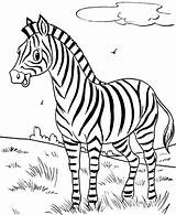 Color Coloring Zebras Zebra Popular sketch template