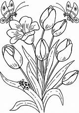 Flowers Coloring Pages Butterfly Embroidery Flower Tulips Drawing Cool Wecoloringpage sketch template