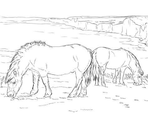 realistic ponies coloring page  printable coloring pages  kids