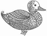 Duck Coloring Zentangle Pages Teacherspayteachers Adult Detailed Sheet Animal Farm Patterns Sheets Preview Drawing sketch template