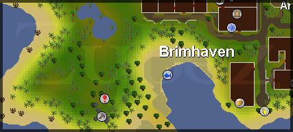 brimhaven dungeon osrs runescape miscellaneous guides  school