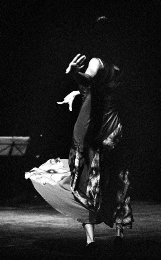 photo libre de droit de flamenco loin banque d images et plus d images