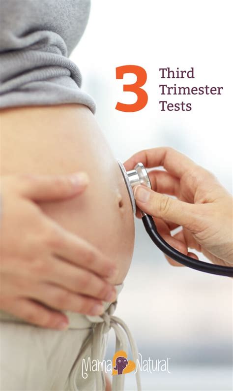third trimester tests during pregnancy mama natural