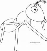Coloring Ant Realistic Wecoloringpage sketch template