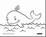 Whale Coloring Beluga Pages Beaut Getdrawings Getcolorings Whales Beautiful sketch template