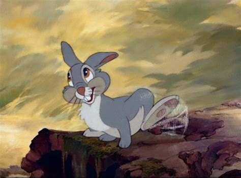 Thumper Disney Wiki Fandom Powered By Wikia