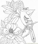 Nature Coloring Color Pages Popular Natural sketch template