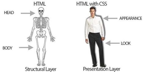 difference  html  css tcdc